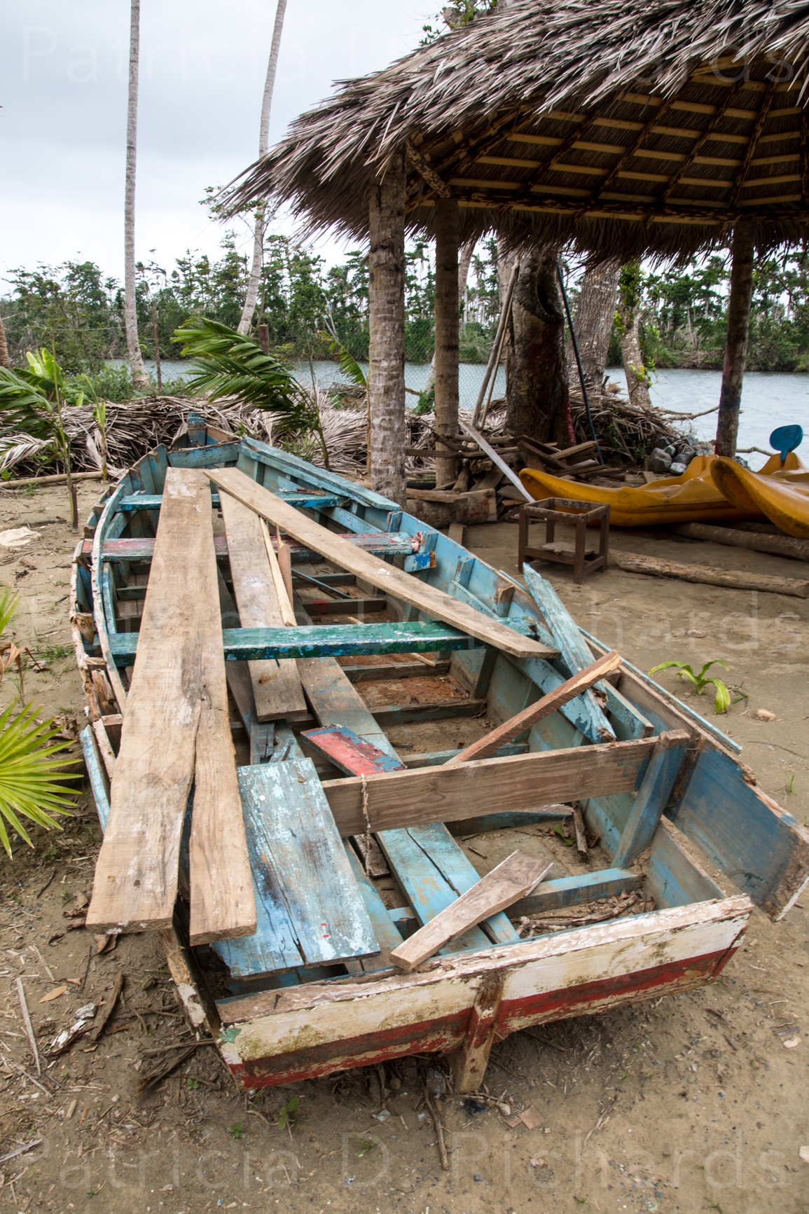 Row Boat Remains