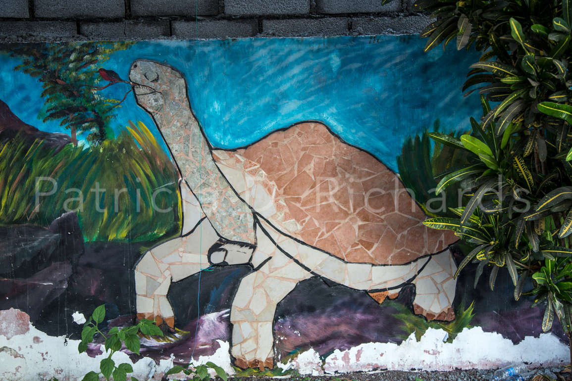 tortoise wall painting