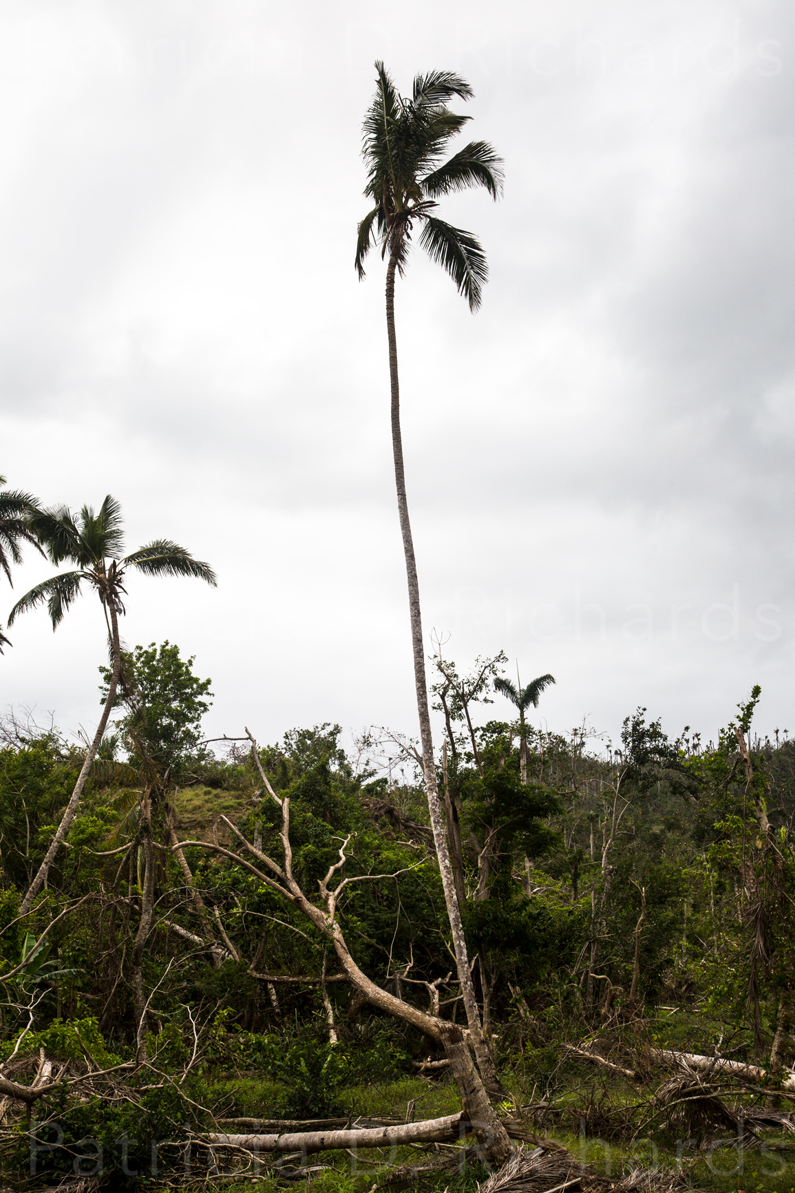 What Remains Upright