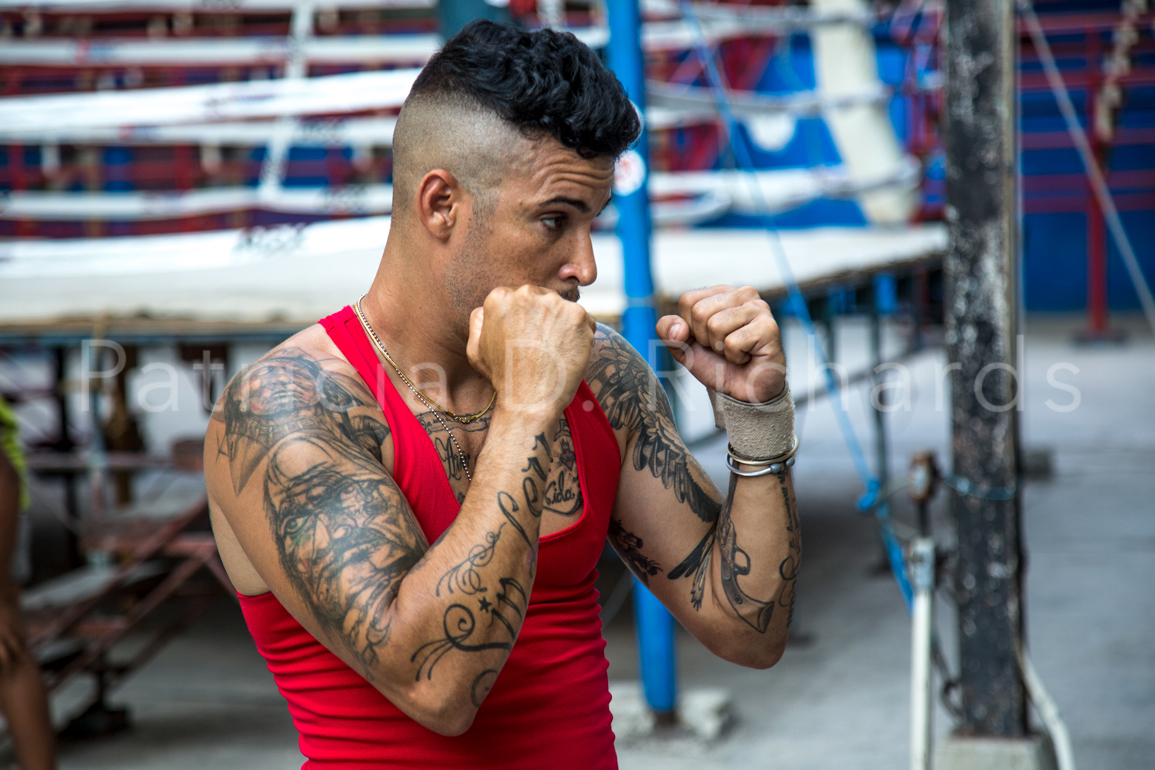the boxer