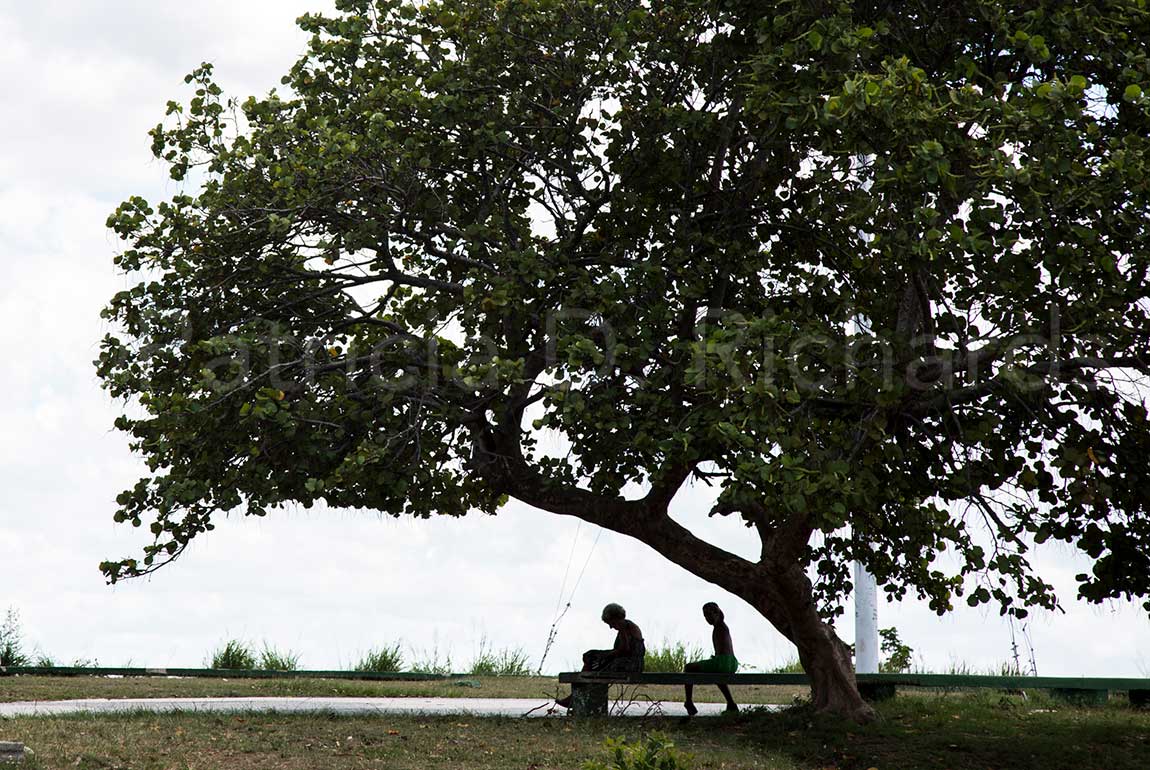 near-ches-house