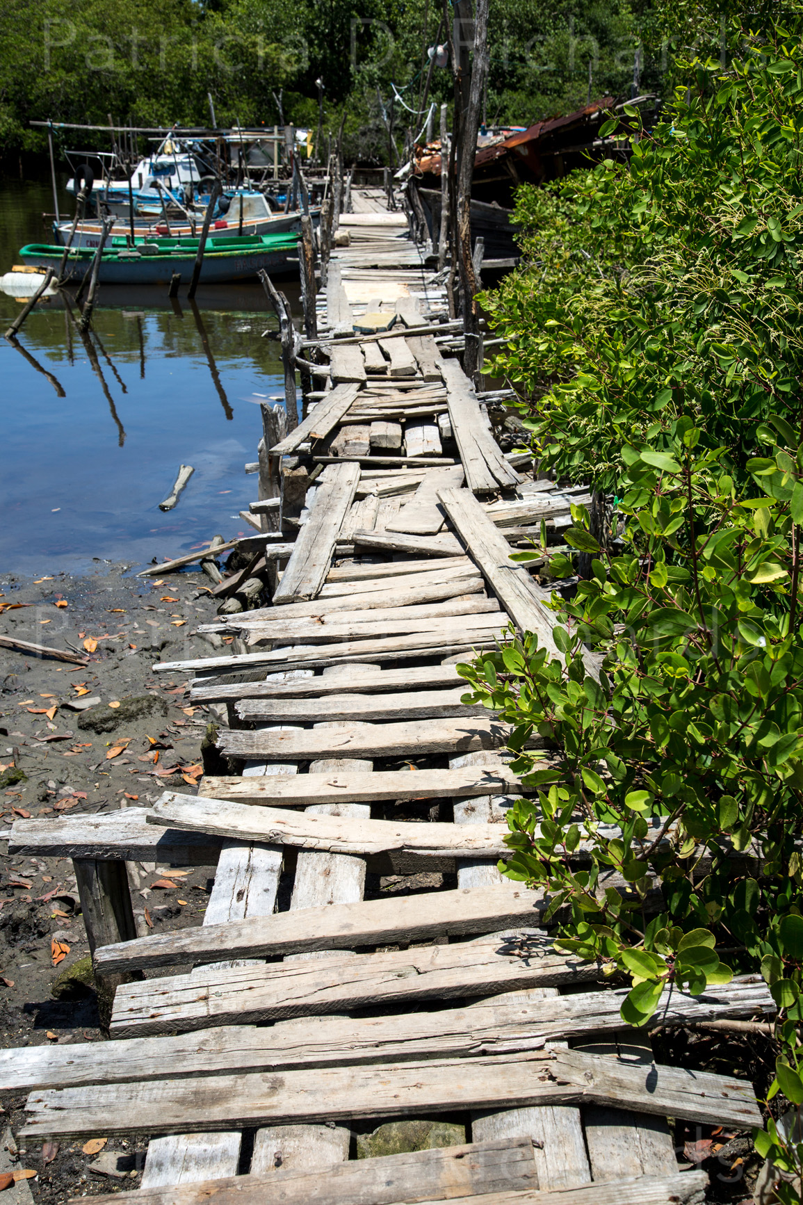 The Boardwalk