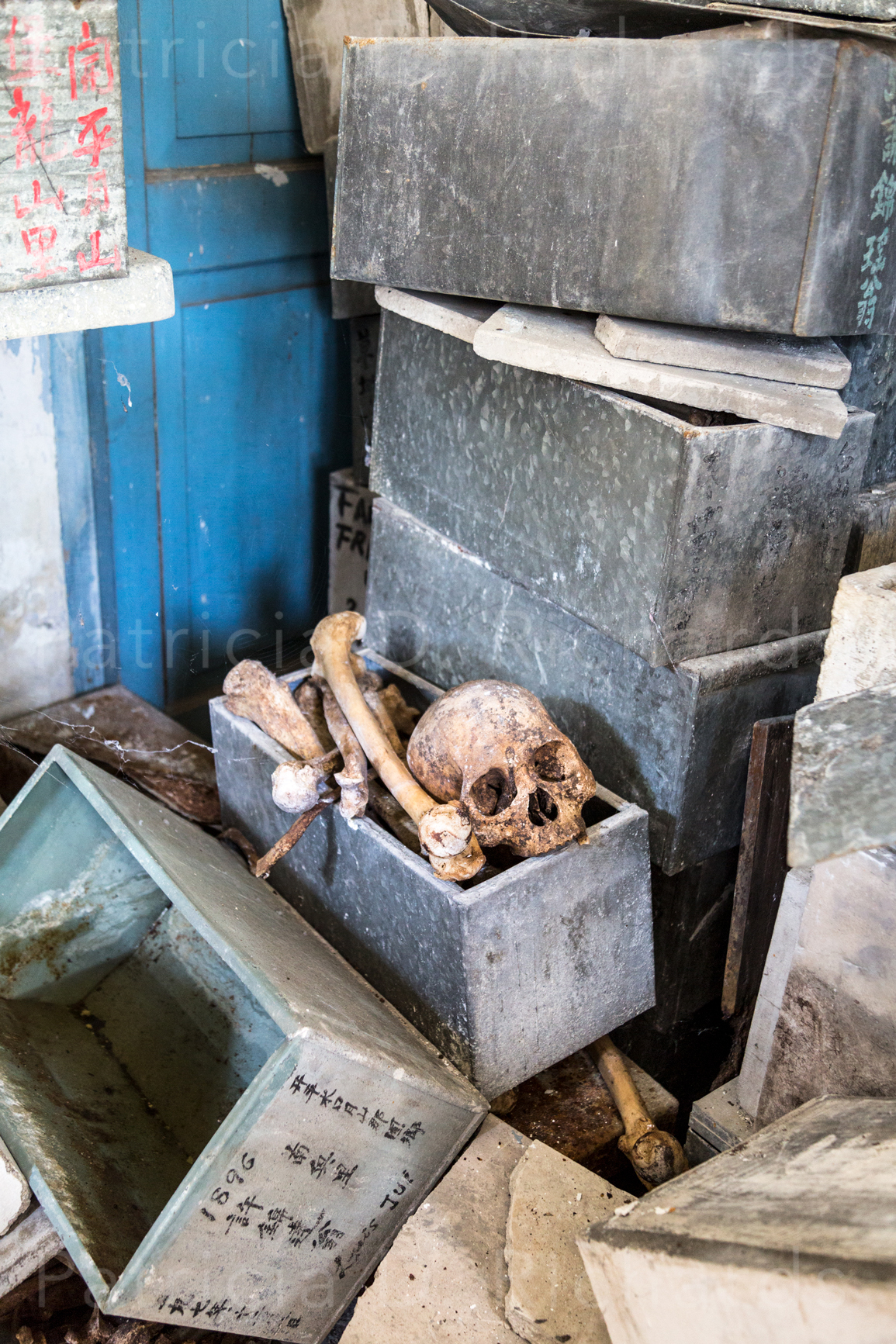 Bones-in-a-box