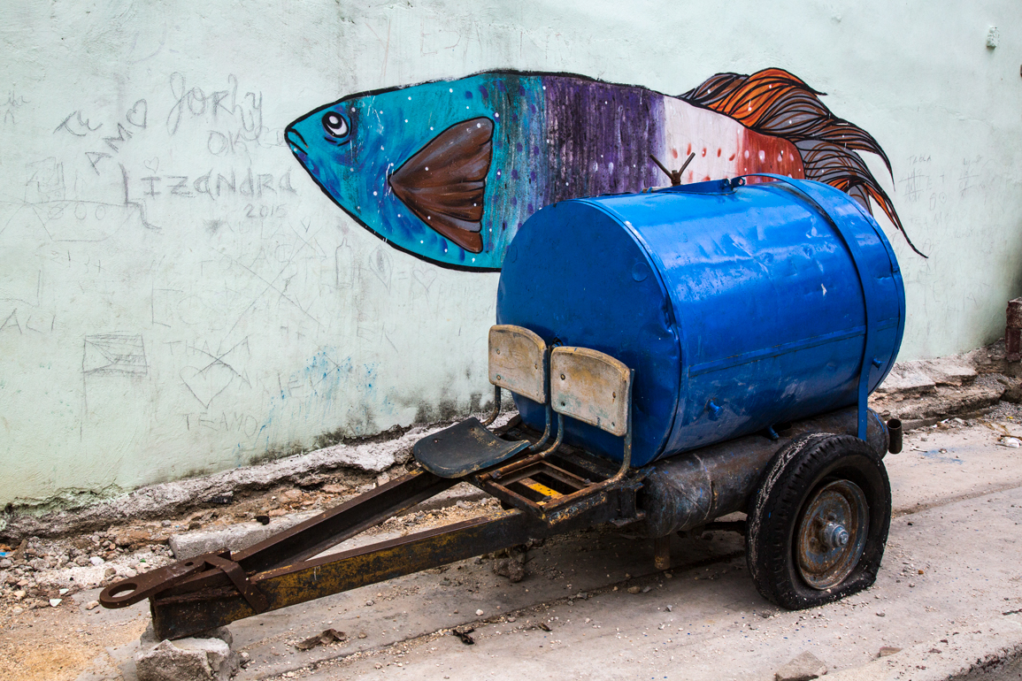 Blue Fish