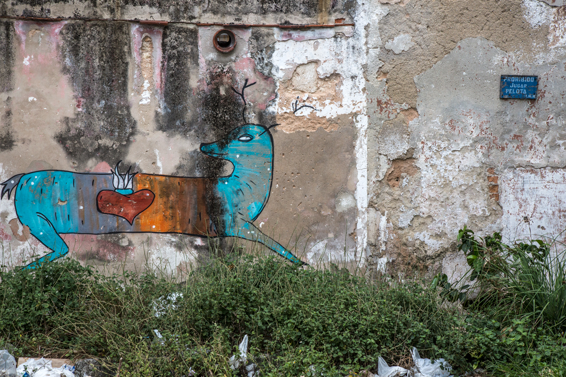 Deer on the Wall