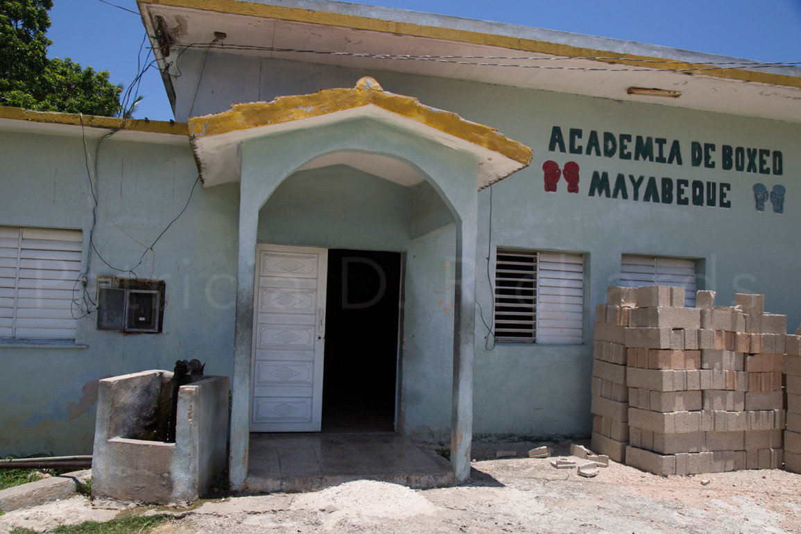 The New Boxing School