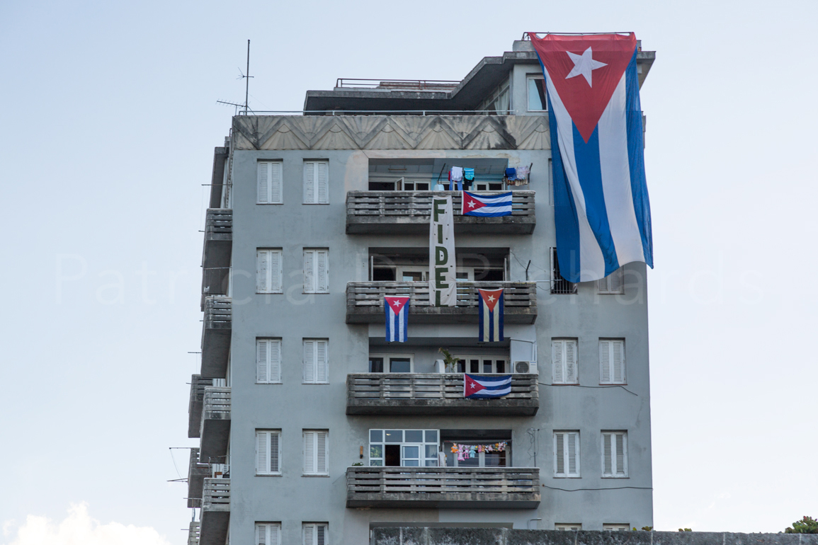 Fidel