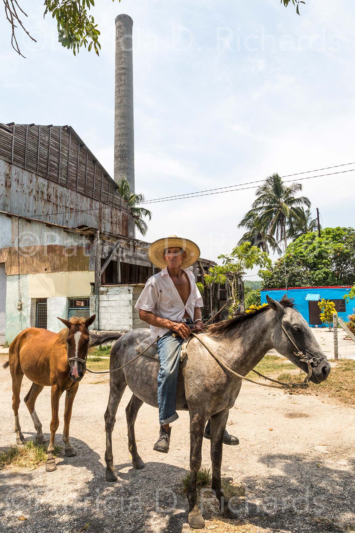 Canasi,-Cuba