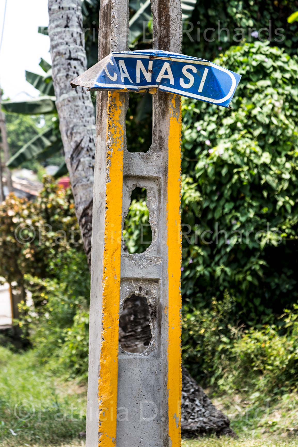 Canasi
