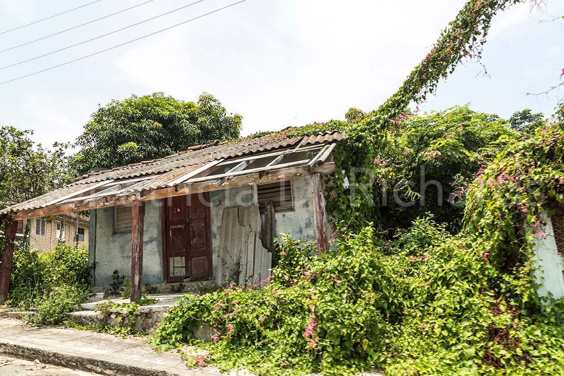 Overgrown