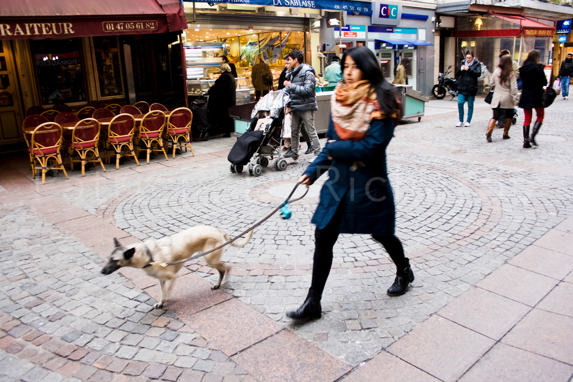dog walker