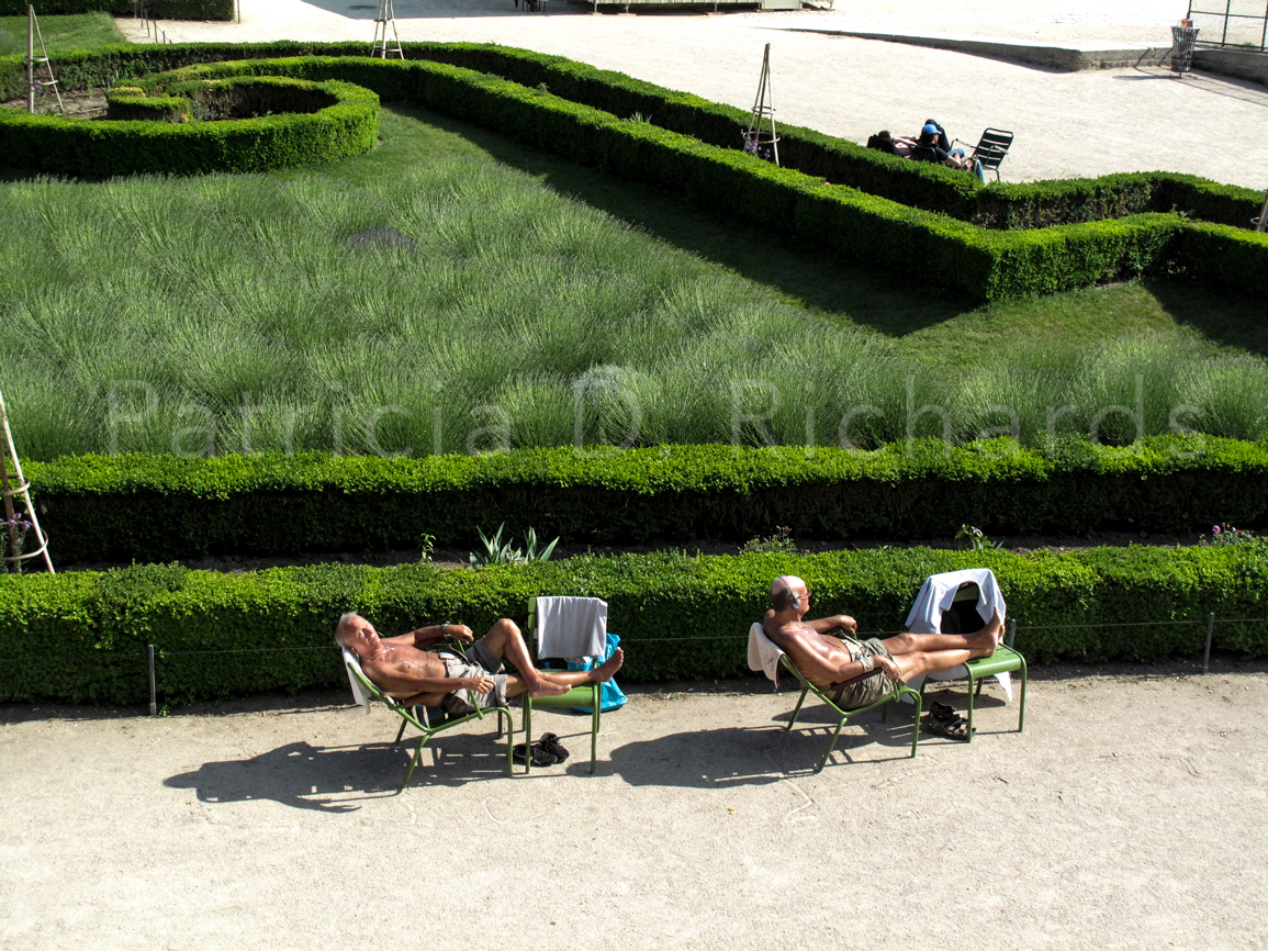 sun bathers