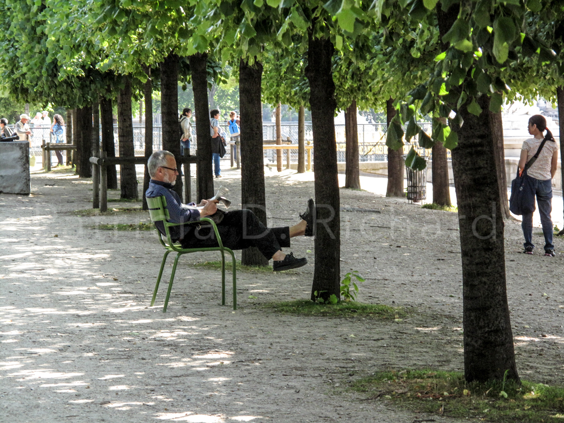 the reader