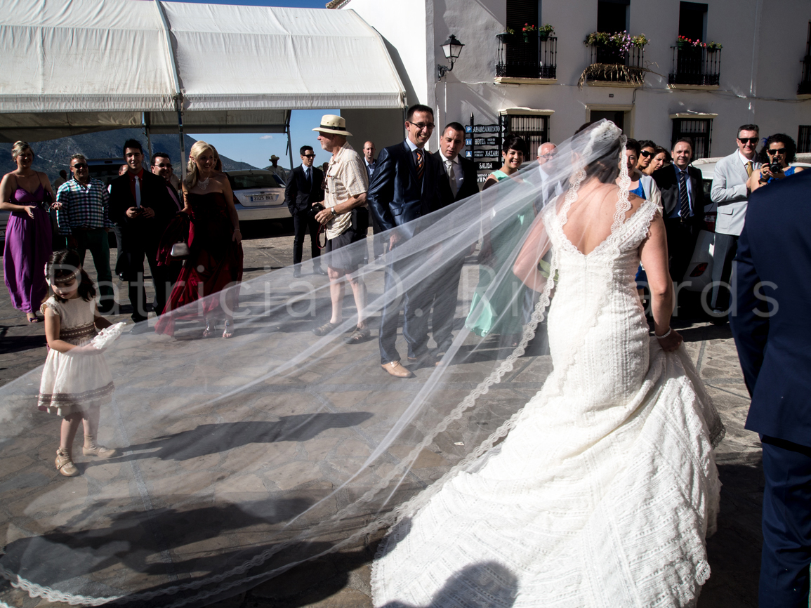 veiled