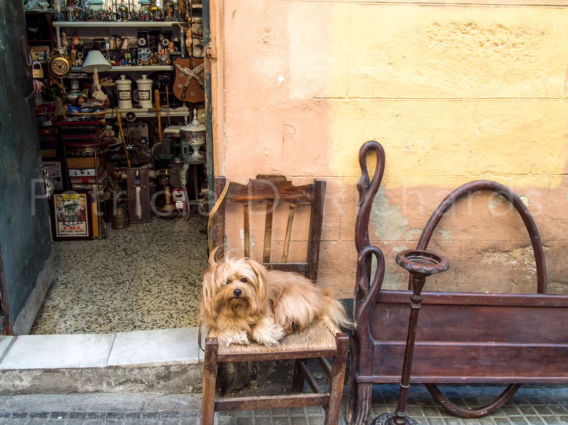 antiques