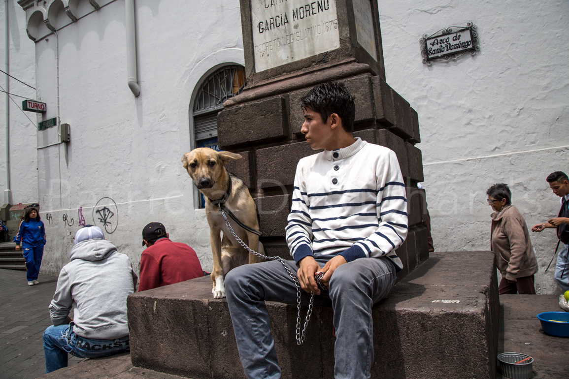 dog and boy