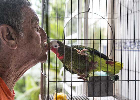 cuba